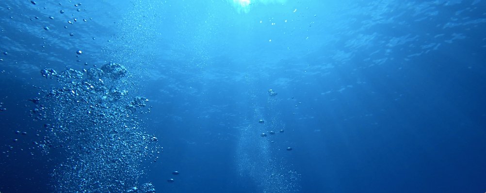 8 easy lifestyle choices you can make to help save the ocean - Vandaya