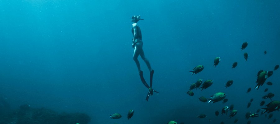 An introduction to freediving - Vandaya