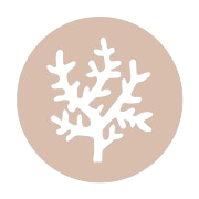 VANDAYA logo