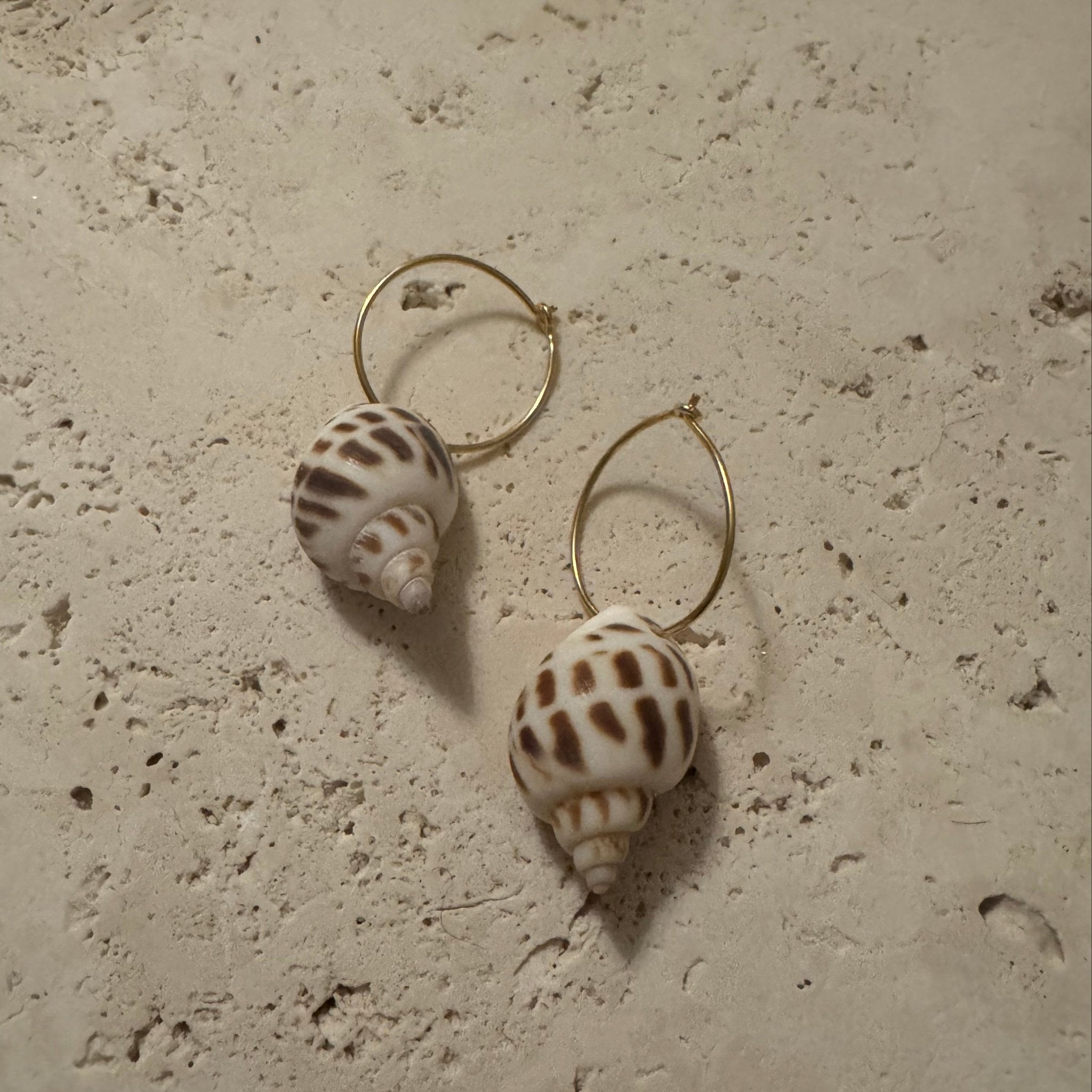 Sea Shell Hoops - Vandaya